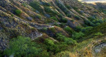 Hikes in Honolulu